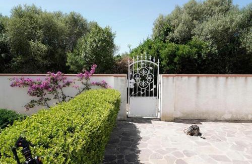 Pittulongu Apartment | Casa Zio Tonino