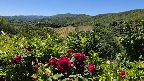 Greve in Chianti Ski Chalet | Un piccolo Paradiso nel Chianti più selvaggio