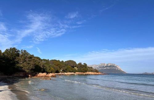Porto Istana House | Villa dell'Armonia Perfetta Porto Istana Sardegna