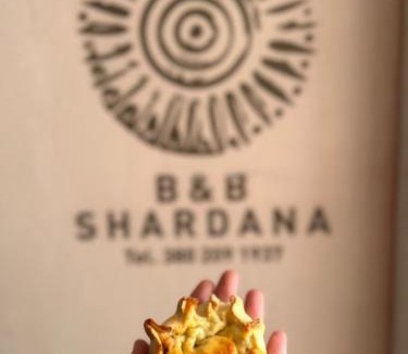 Sennori Bed & Breakfast | B&B SHARDANA Sardinia holiday room