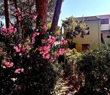 Marina di Sorso Apartment | Grace House