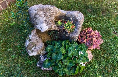 Mamoiada Bed & Breakfast | affittacamere S'Ortensia