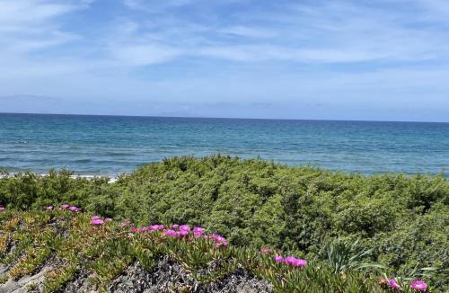 Eden Beach House | Beach Escape - 100m to the Sea - AC - Fast WiFi