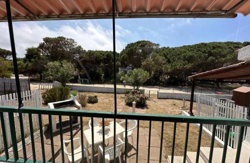 San Pietro a Mare Apartment | Appartamenti Magnolie-La pineta A SOLI 100 m DALLA SPIAGGIA