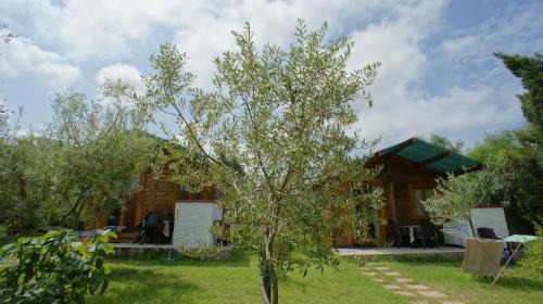 Sorso House | Agriturismo Tres Montes