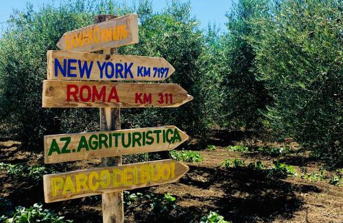 Nuova Cliternia House | Az. Agr. Parco dei Buoi