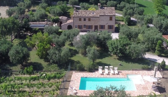 Your holiday home is a stylish country house surrounded by greenery. in Petriolo