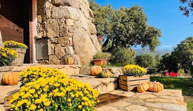Il Nuraghe Del Lago Coghinas