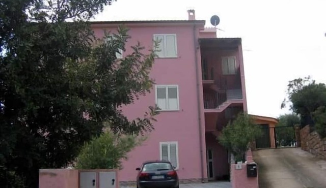 Pet-and family-friendly apartment