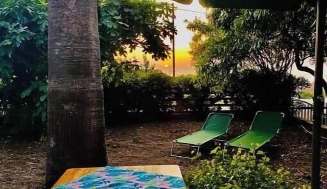 Apartment in a villa under a large palm tree and garden