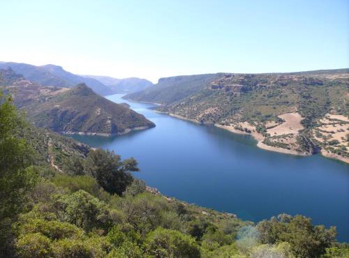 La Peonia casa vacanze in montagna prato verde panorama stupendo Sardegna