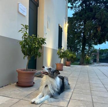 La Casa in Collina - Affittacamere