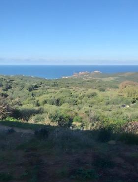 Cottage Alchimiza Isola Rossa Hills