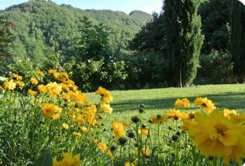 Borgo Spescia Pool Park and Relaxation in Camposonaldo