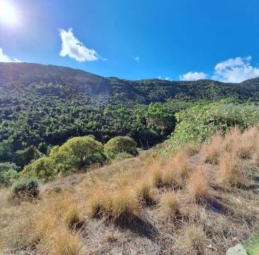 CASA ATZENI - your relaxation surrounded by nature