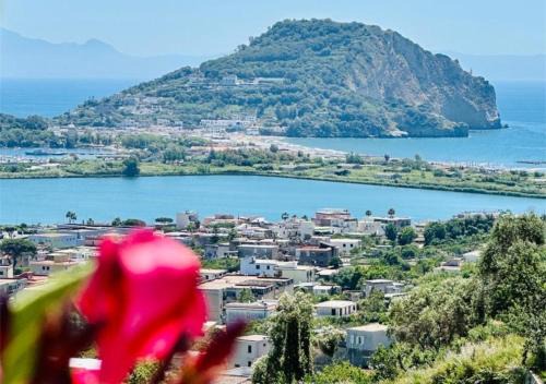 View Ischia & Procida -Villa Lamberti Casa Panorama