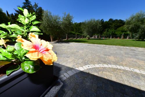 B&B Roman Country Villa in Zagarolo